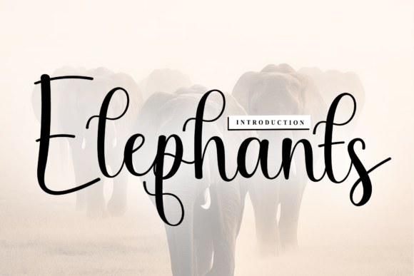 Elephants: A Script Font for Handmade Elegance