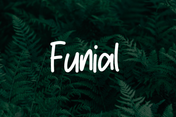 Funial Font: A Review for Elevating Everyday Branding