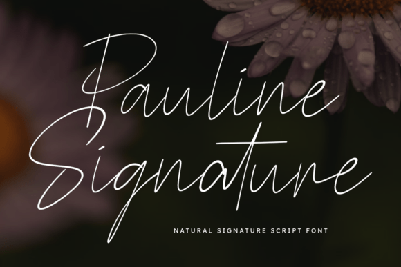 Pauline Signature: An Editorial Typeface Built for Bold Expression